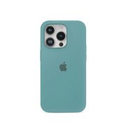 Etui LEVCORP do Apple iPhone 12 / 12 Pro Silicone Kaktus