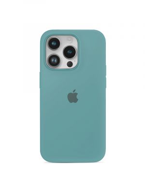 Etui LEVCORP do Apple iPhone 12 / 12 Pro Silicone Kaktus