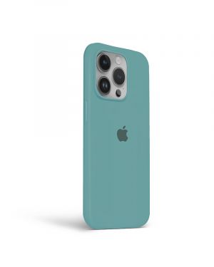 Etui LEVCORP do Apple iPhone 12 / 12 Pro Silicone Kaktus