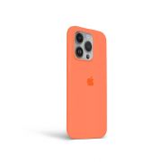 Etui LEVCORP do Apple iPhone 12 Pro Max Silicone Kumkwat