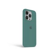 Etui LEVCORP do Apple iPhone 12 / 12 Pro Silicone Odcień zieleni