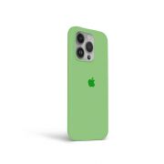 Etui LEVCORP do Apple iPhone 13 Pro Silicone Świeża zieleń